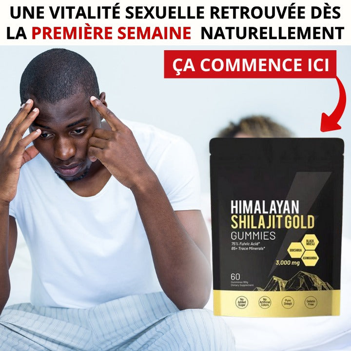 Himalayan Shilajit GOLD Gummies